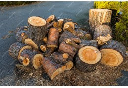 La Scelta della Materia Prima Perfetta per Ogni Scultura