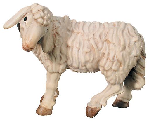 Sheep standing with head turned to the left - color
