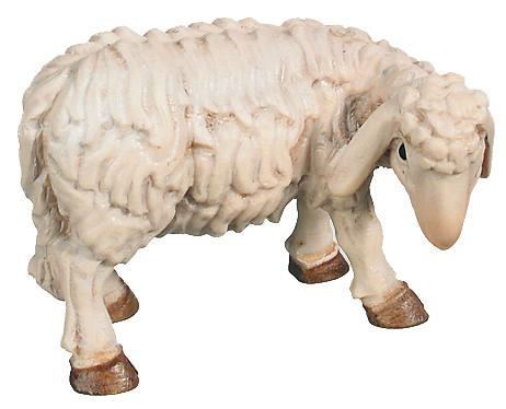 Eating Sheep - color