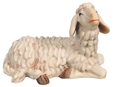 Lying Sheep in maple wood - color