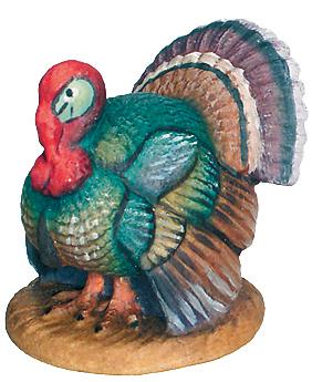 Turkey as a nativity animal - color