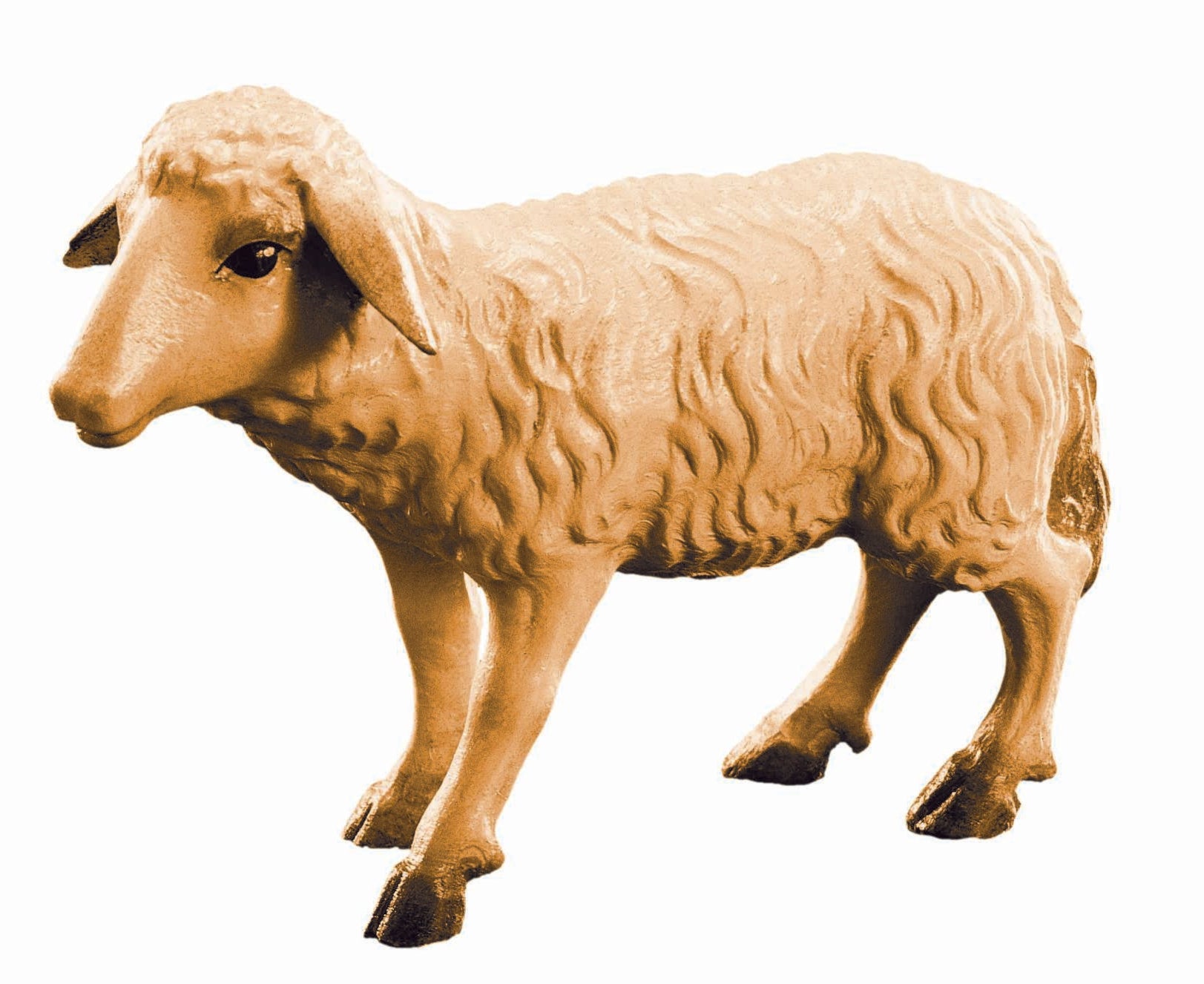 Standing Sheep for wood nativity scene - color