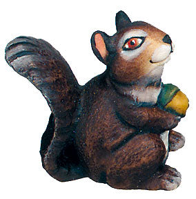 Squirrel in maple wood - color