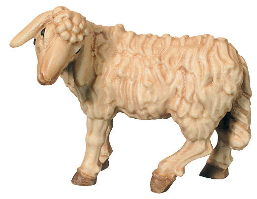 Sheep standing with head turned to the left - color