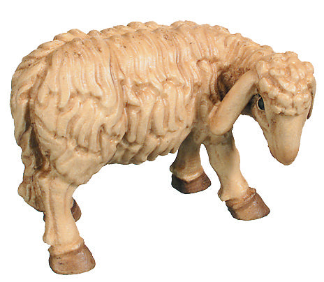 Eating Sheep - color