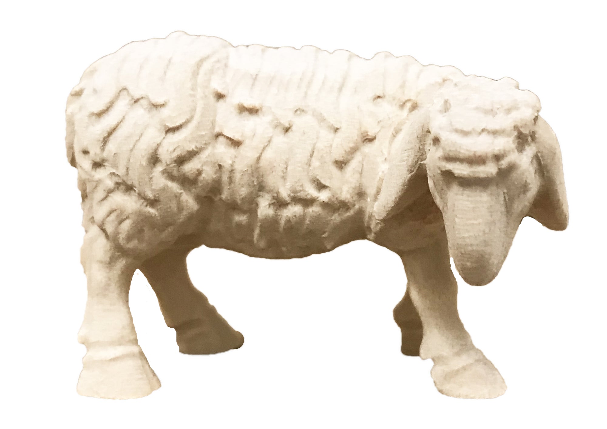 Eating Sheep - color