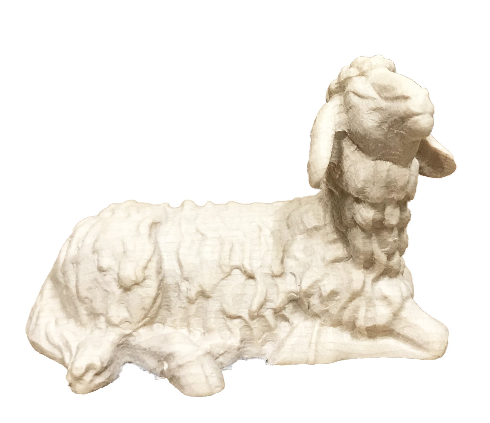 Lying Sheep in maple wood - color