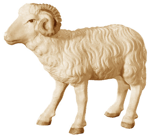 Ram for wooden Nativity scene - color