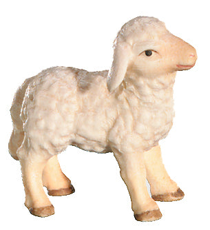 Nativity set wood lamb - color