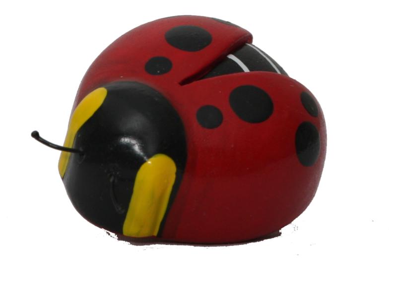 The little Dolfi wood cockchafer