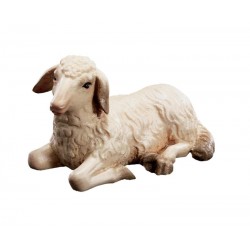 Lying Sheep in wood - color