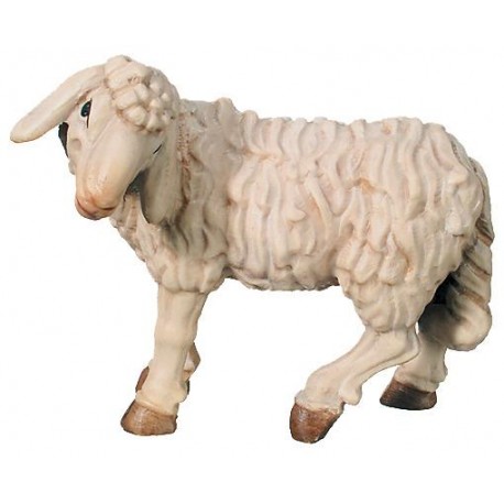 Sheep standing with head turned to the left - color
