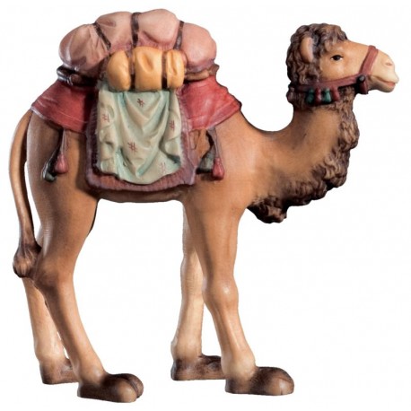 Kamel aus Ahornholz - lasiert