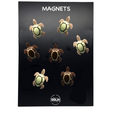 24 gemischte Magnete mit Schildkröte aus Holz + Aussteller
