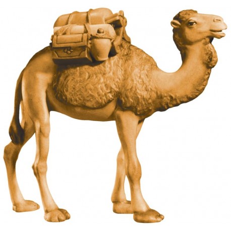 Camel in wood with Saddle - brown shades