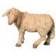 Sheep standing with head turned to the left - brown shades