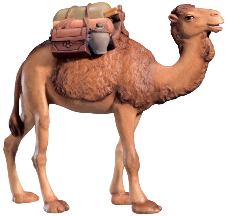 Kamel stehend mit Gepäck und Geschenke - mit Ölfarben lasiert