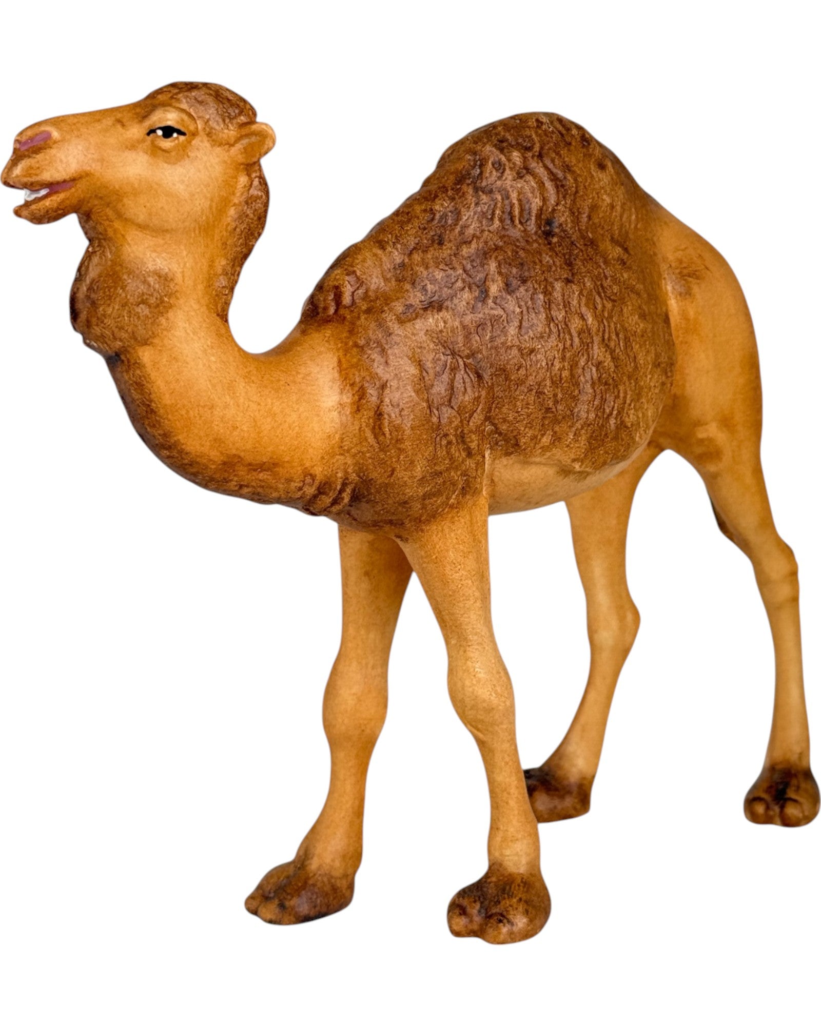 colorato