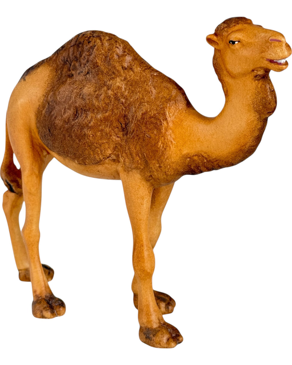 colorato