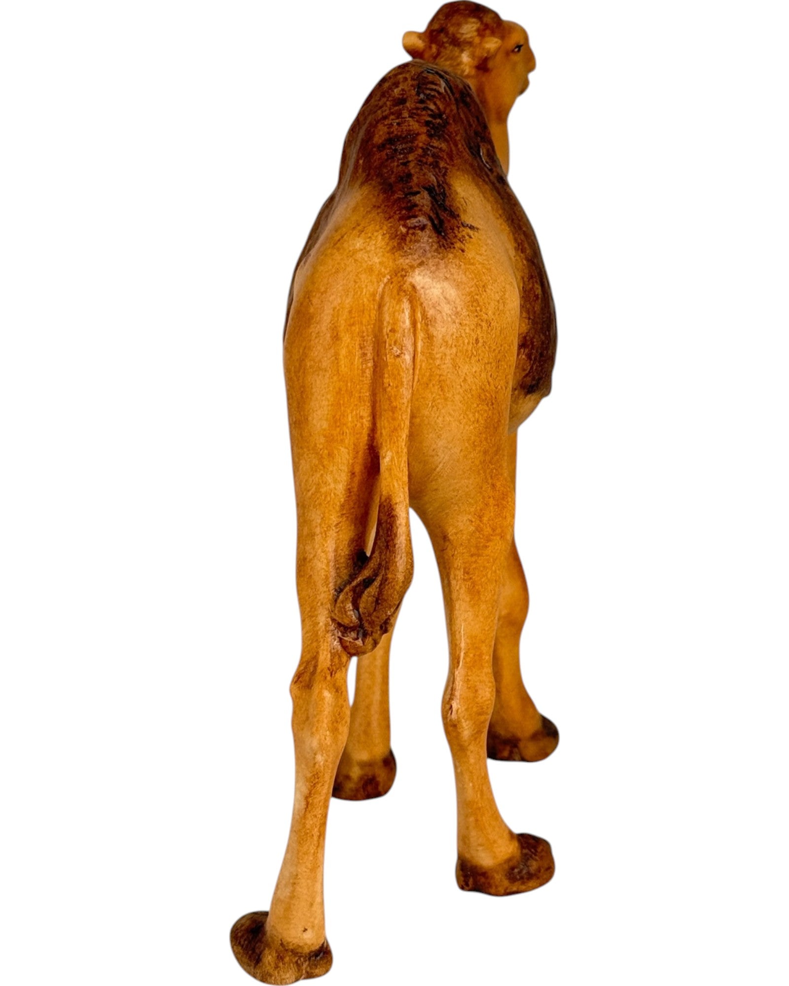 colorato