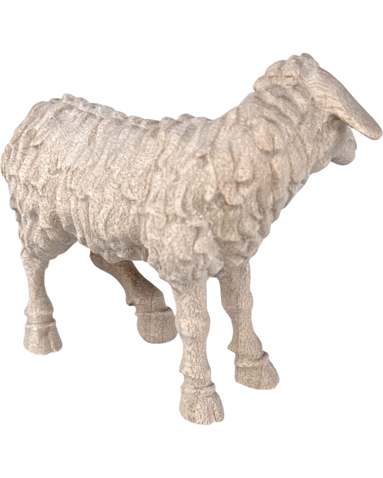 Mouton debout, tête à gauche