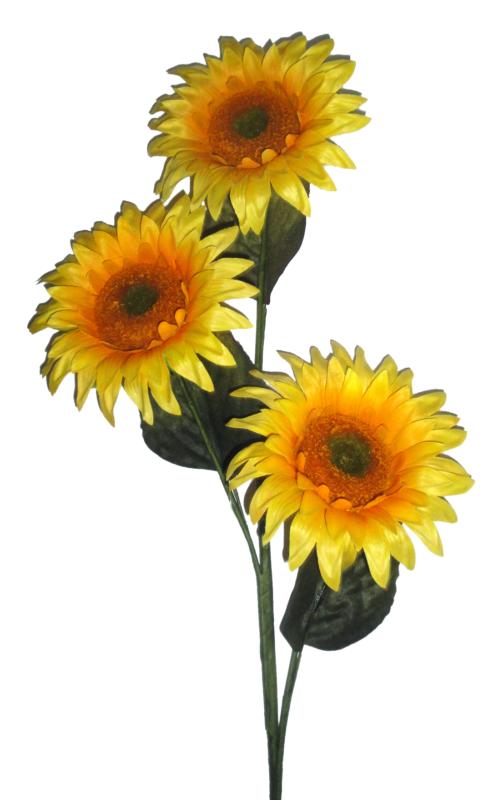 Fleur comme Tournesol en bois