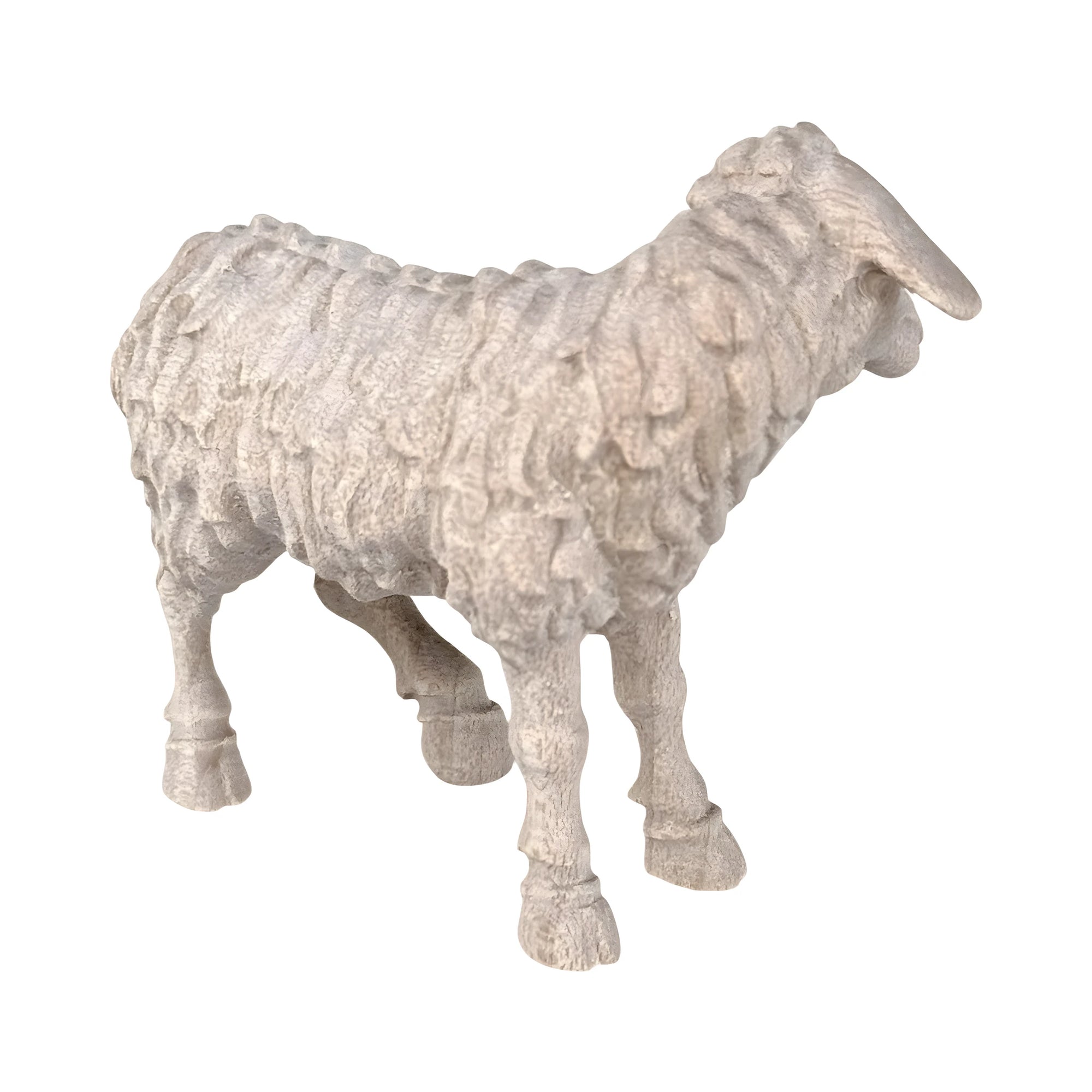 Standing sheep with head to the left - color