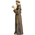 Saint Francis from Assisi in Resin wood