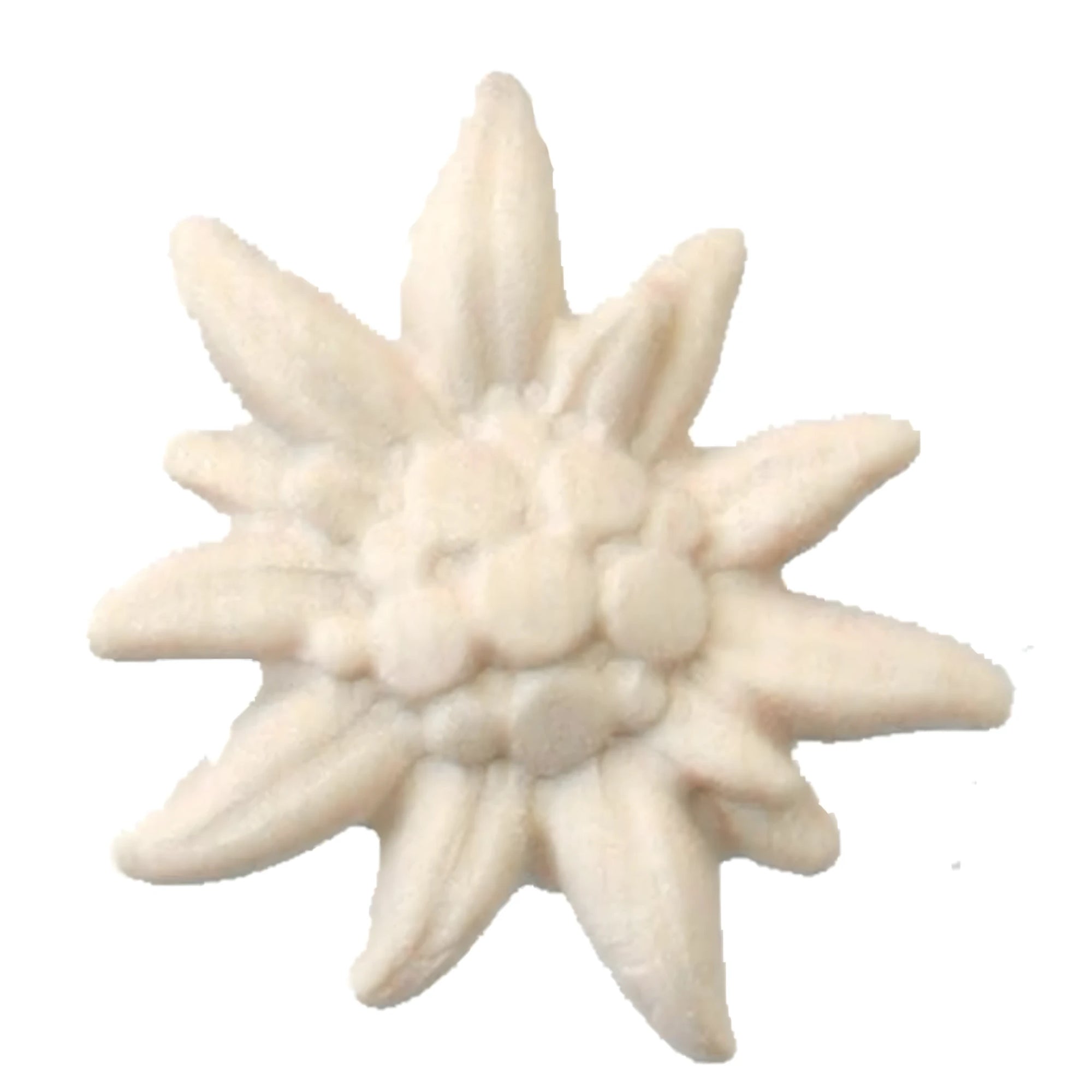 Étoile des Alpes en Bois d'Érable, Sculpture Artisanale Val Gardena